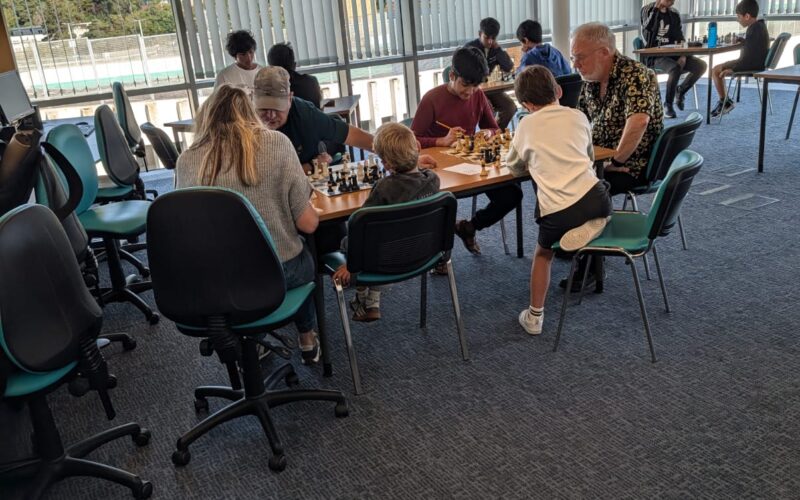 Players at the chess club